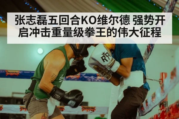 张志磊五回合KO维尔德 强势开启冲击重量级拳王的伟大征程