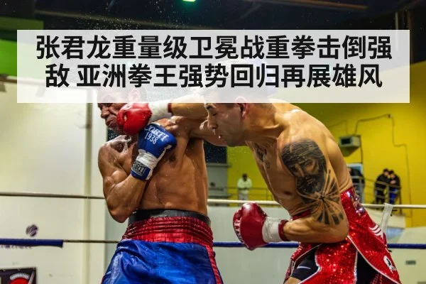 boxer knockout punch